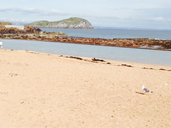 Edinburgh, Seton Sands Port Seton Ngoại thất bức ảnh